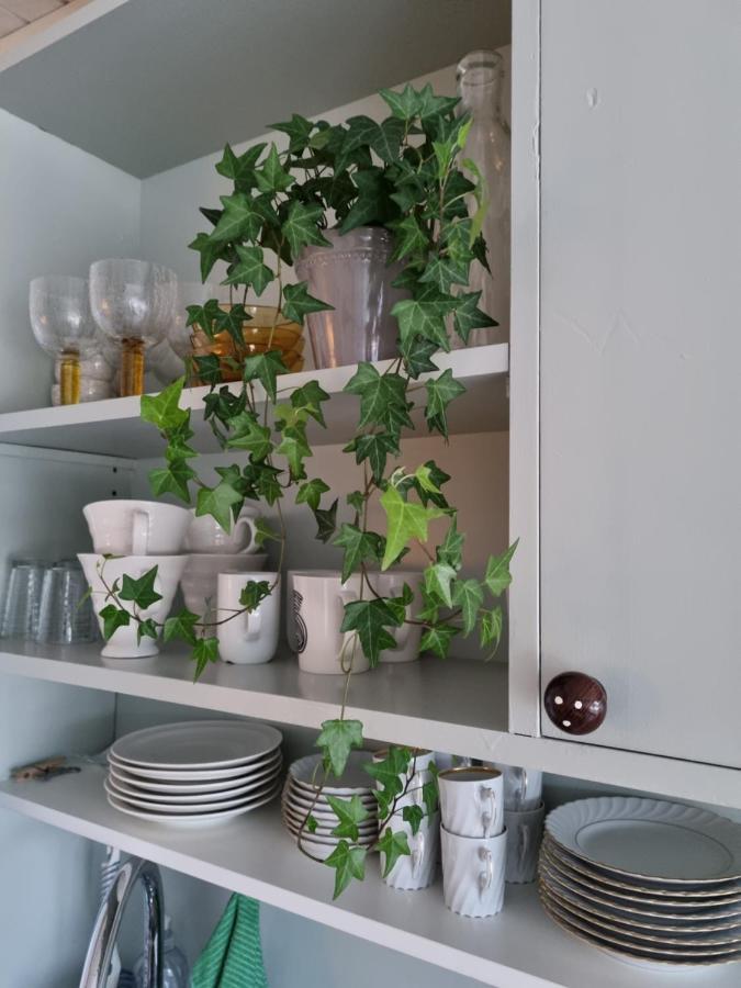 Loftsleilighet Midt I Sentrum Skjervoy 외부 사진